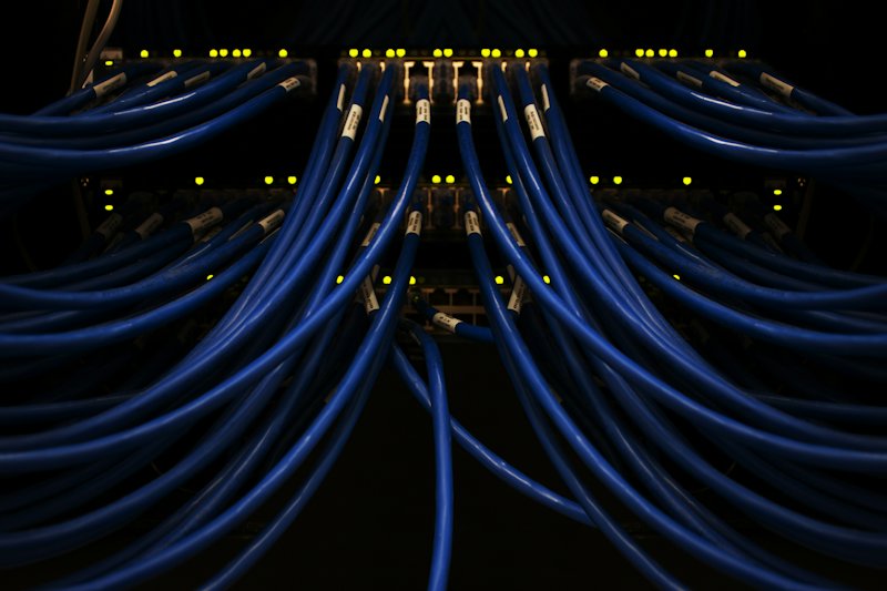 Kabel jaringan biru tersambung ke perangkat server
